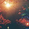 星际迷航2